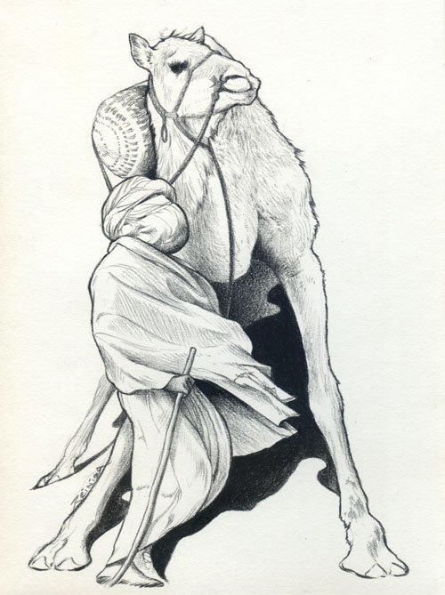 500x669 yesmad nomad - Nomad Drawing