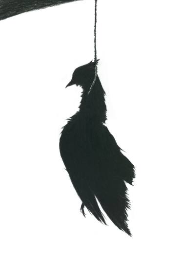 375x542 noose drawing - Noose Drawing