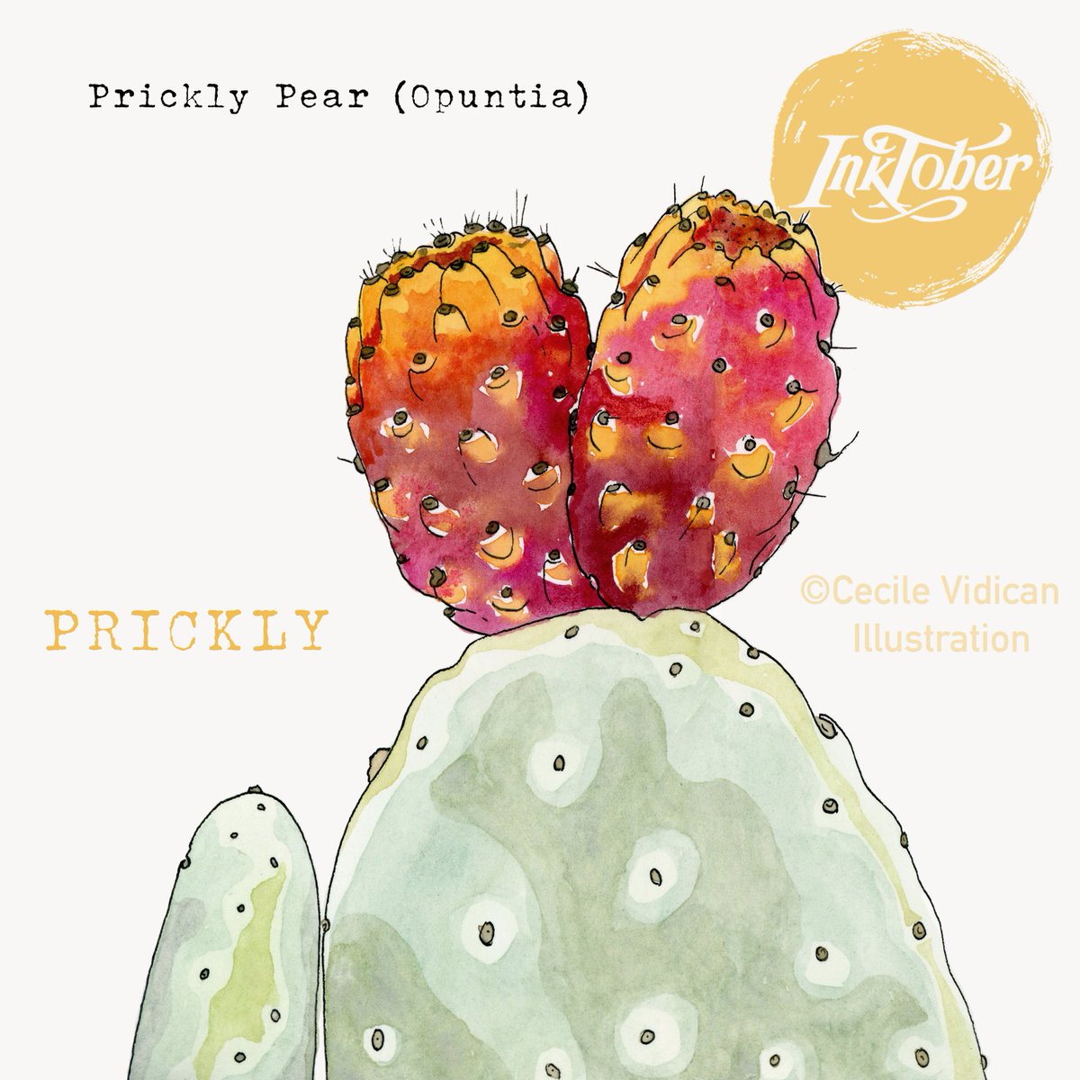 1200x1200 cecile vidican on twitter day - Nopal Drawing