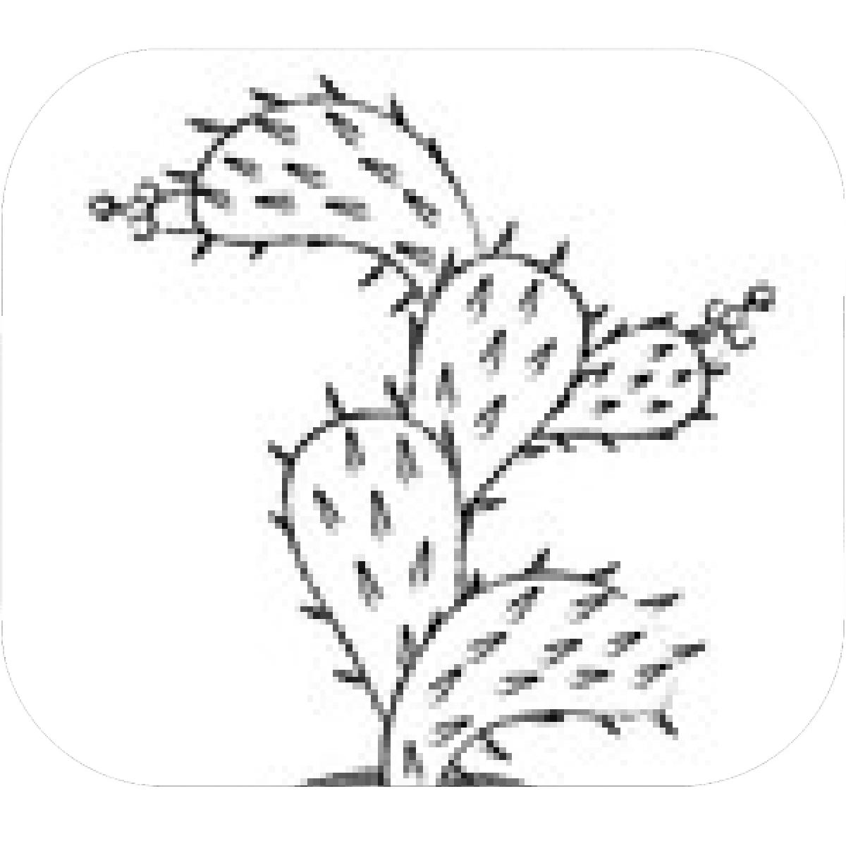 1200x1200 designs mein mousepad design mousepad selbst designen - Nopal Drawing