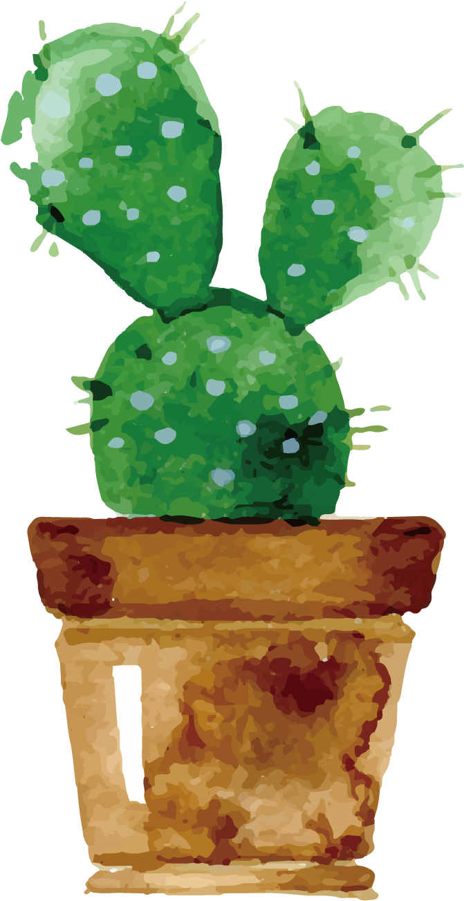 671x1302 drawing cactus cute transparent png clipart free download - Nopal Drawing
