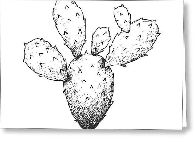 646x470 nopal greeting cards - Nopal Drawing