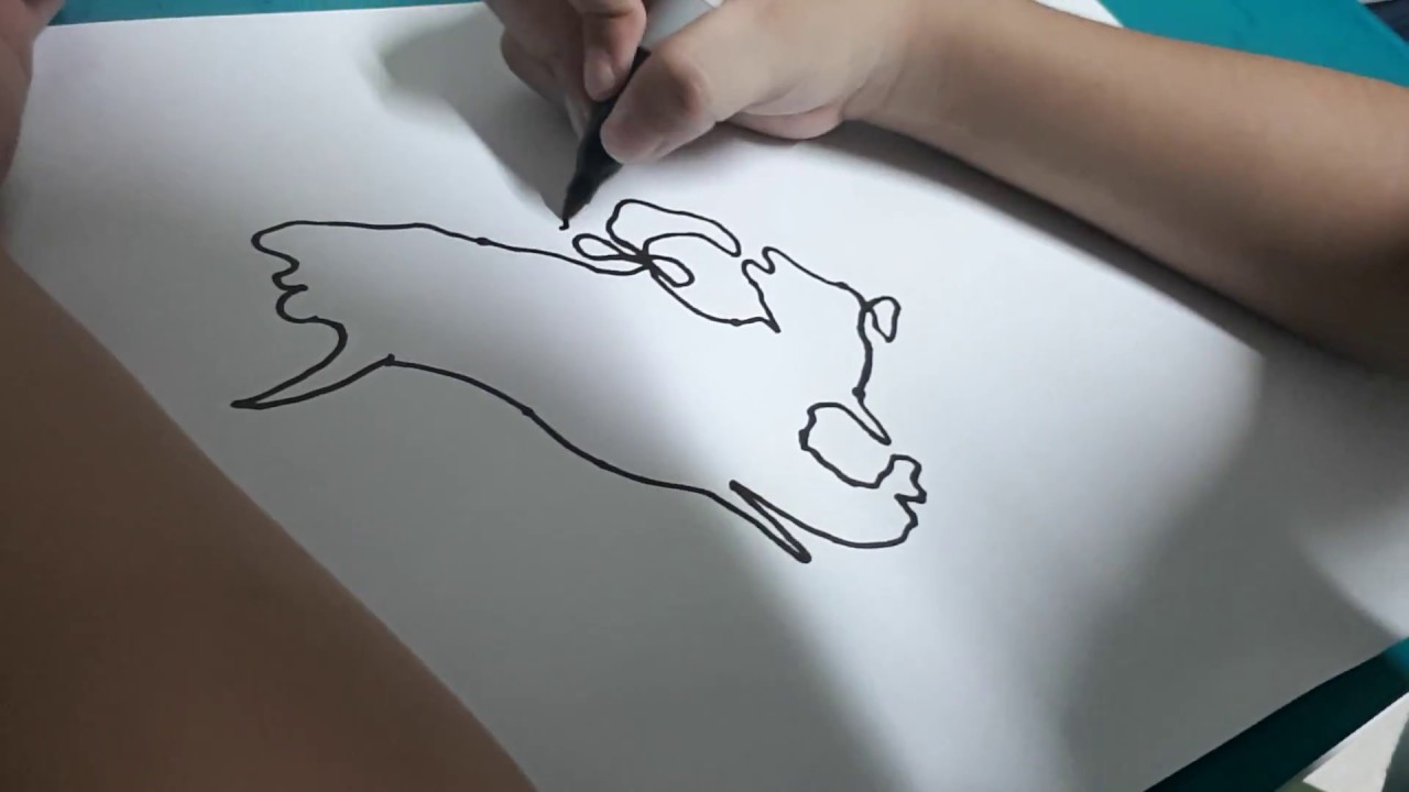 1280x720 how to draw north america - North America Drawing