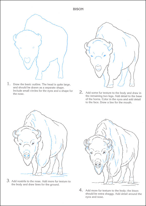 568x800 wild animals of north america draw and color - North America Drawing