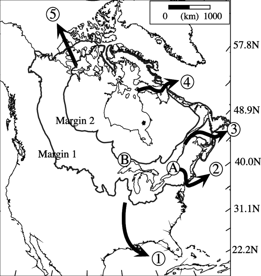 850x898 American Drawing Profile Transparent Png Clipart Free Download - North America Drawing