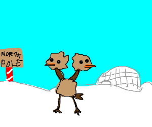 300x250 dodo birds live - North Pole Drawing