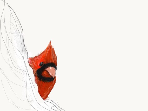 570x428 northern cardinal print bird illustration digital drawing etsy - Northern Cardinal Drawing