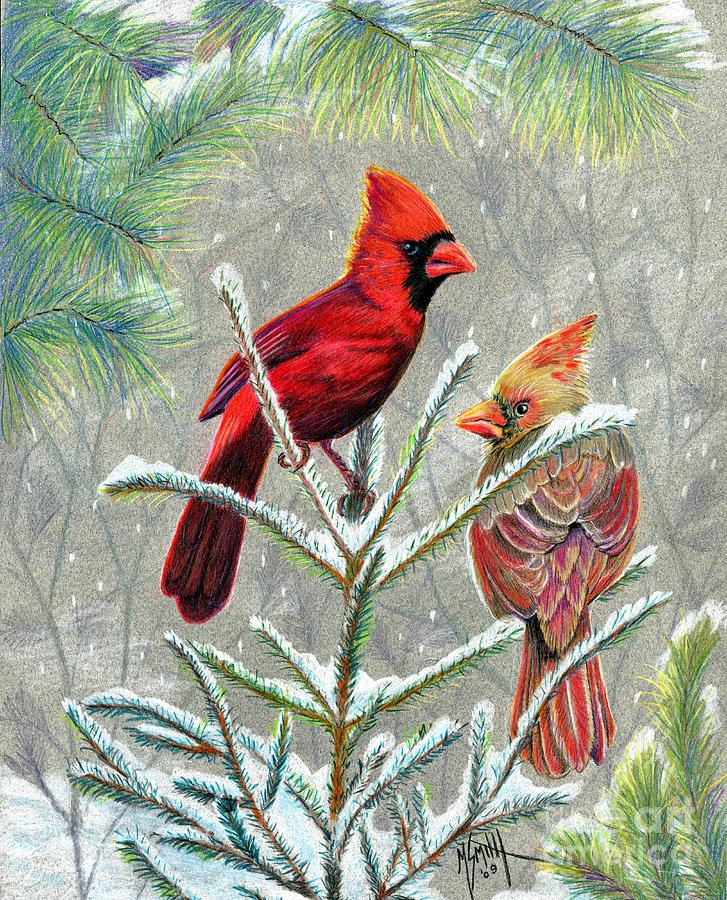 727x900 northern cardinals drawing - Northern Cardinal Drawing