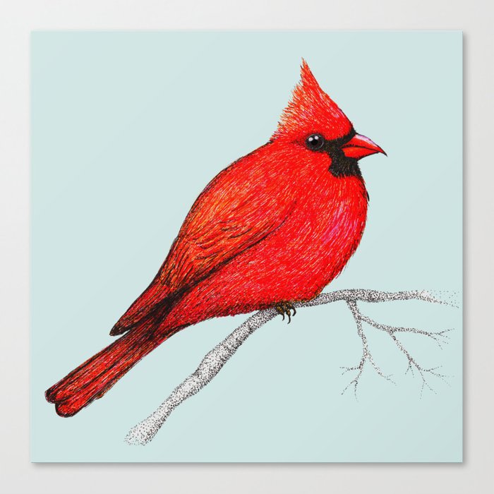 700x700 northern cardinal pen drawing canvas print - Northern Cardinal Drawing