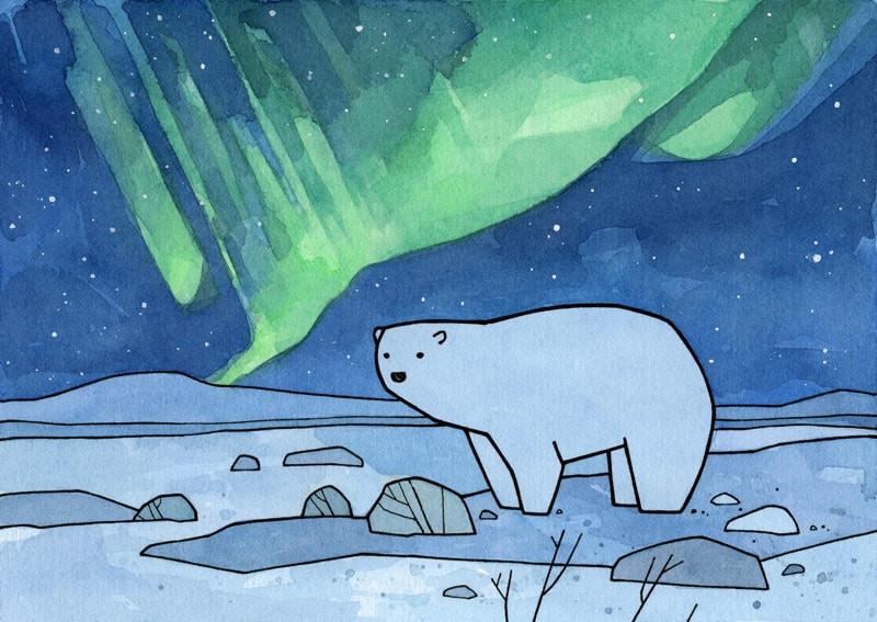 800x567 polar bear and northern lights, childrens illustration art print - Northern Lights Drawing