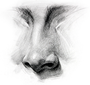 349x330 how to draw a nose step - Nose Drawing