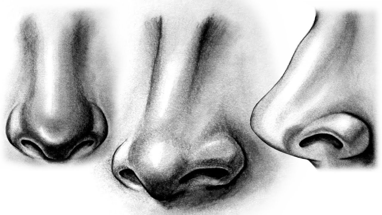 1280x720 how to draw a realistic nose - Nose Drawing