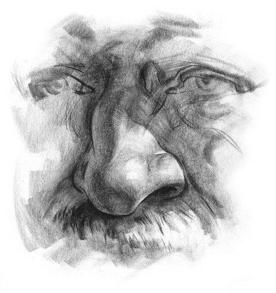 550x585 Learn How To Draw Human Noses - Nose Drawing