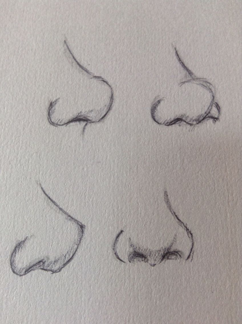 848x1136 nose practice drawings - Nose Drawing