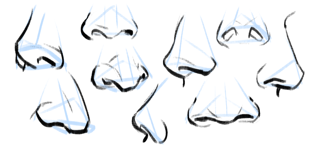 1000x481 how to draw nose tumblr - Nose Drawing