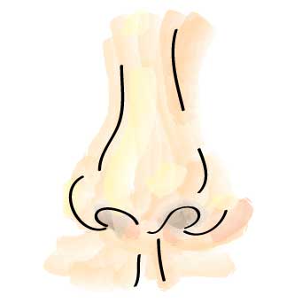 341x342 how to draw kids nose we draw kids - Nose Drawing For Kids