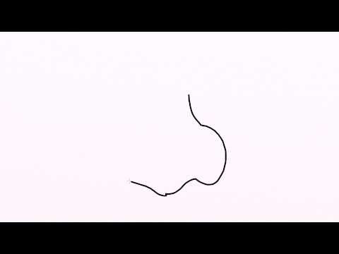 480x360 how to draw nose easy drawing for kids step - Nose Drawing For Kids