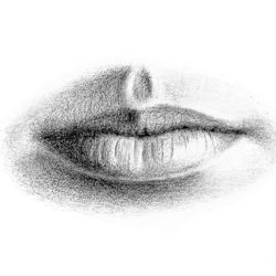 250x250 pencil portraits - Nose Drawing Images