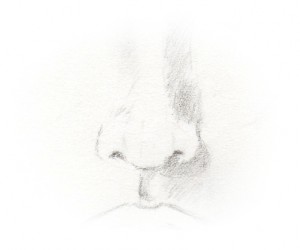 300x250 the secret to drawing noses like sketch - Nose Drawing Images
