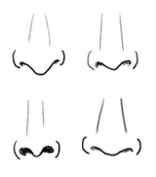 175x198 how to draw a nose and the face drawing tutorials drawing how - Nose Drawing Step By Step