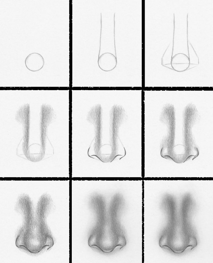 736x910 how to draw a nose from the front - Nose Drawing Step By Step