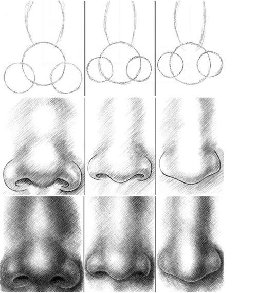 Nose Drawing Step By Step at PaintingValley.com | Explore collection of ...