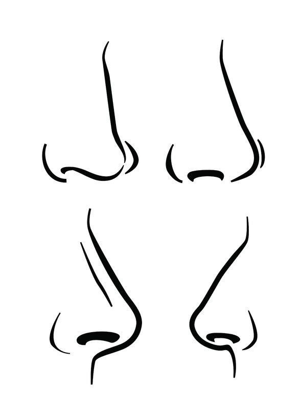 Nose Drawing Step By Step At Paintingvalleycom Explore