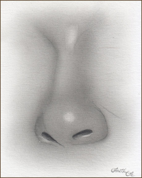 460x575 female nose - Nose Pencil Drawing