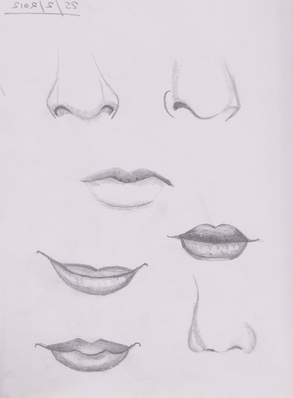 Easy Pencil Drawings Of Noses
