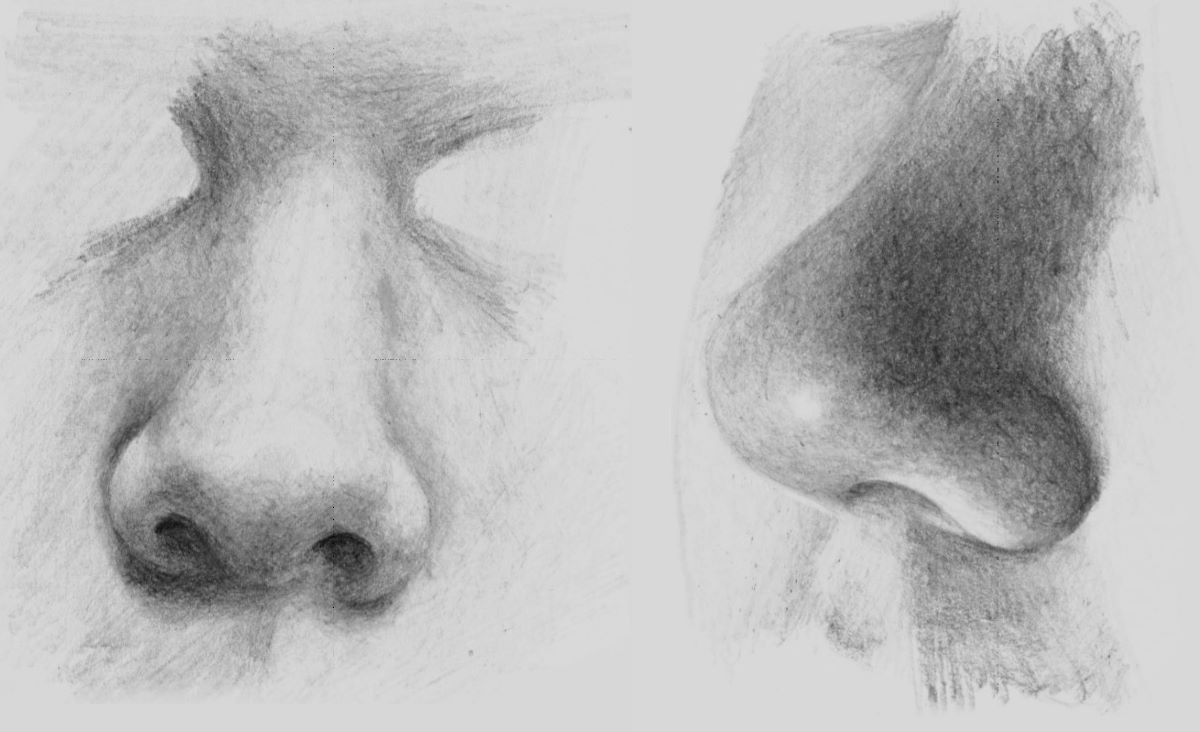 1200x732 how to draw noses online art lessons - Nose Pencil Drawing