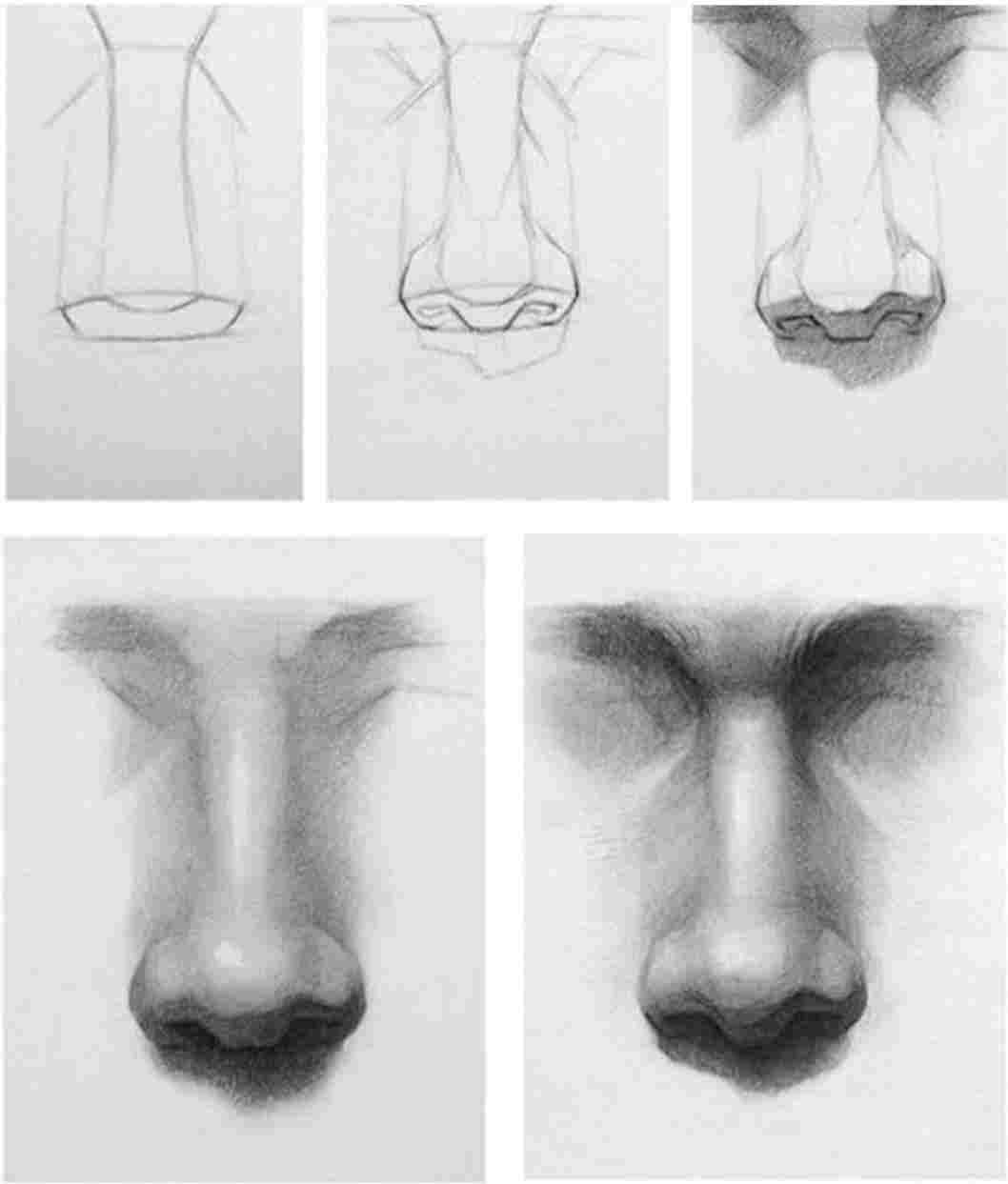 1058x1243 noses with pencil realistic nose pencil drawing - Nose Pencil Drawing