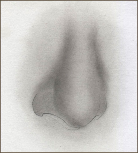 480x530 pencil drawing tutorials artistic realism art studio - Nose Pencil Drawing