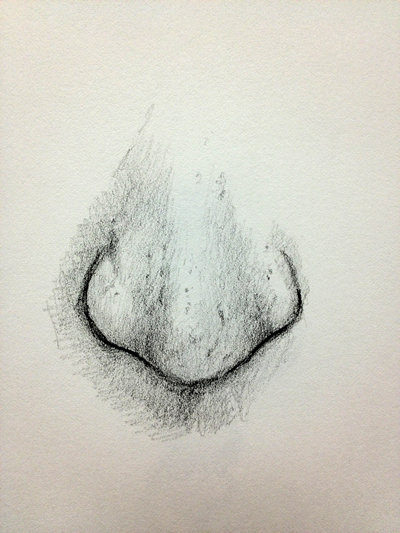 400x533 Photos Nose Pencil Sketch Simple - Nose Pencil Drawing