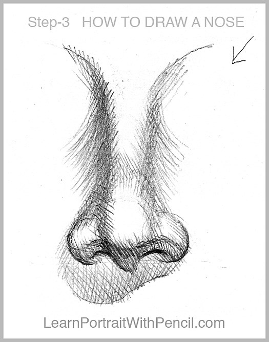 525x668 tutorial on how to draw noses - Nose Pencil Drawing