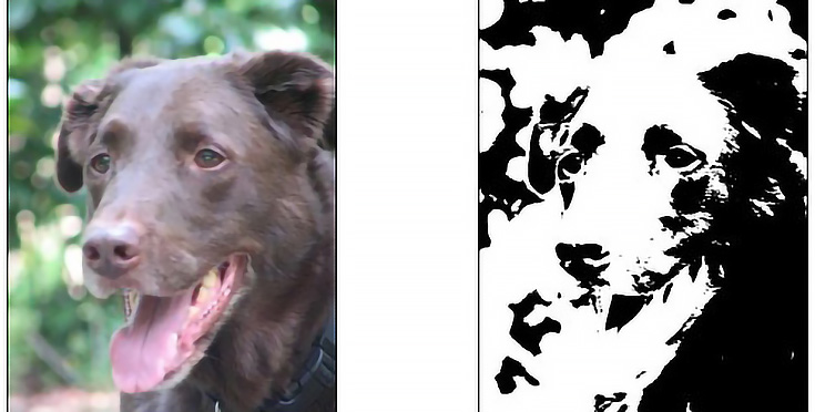 735x372 Seeing Notan - Notan Drawing