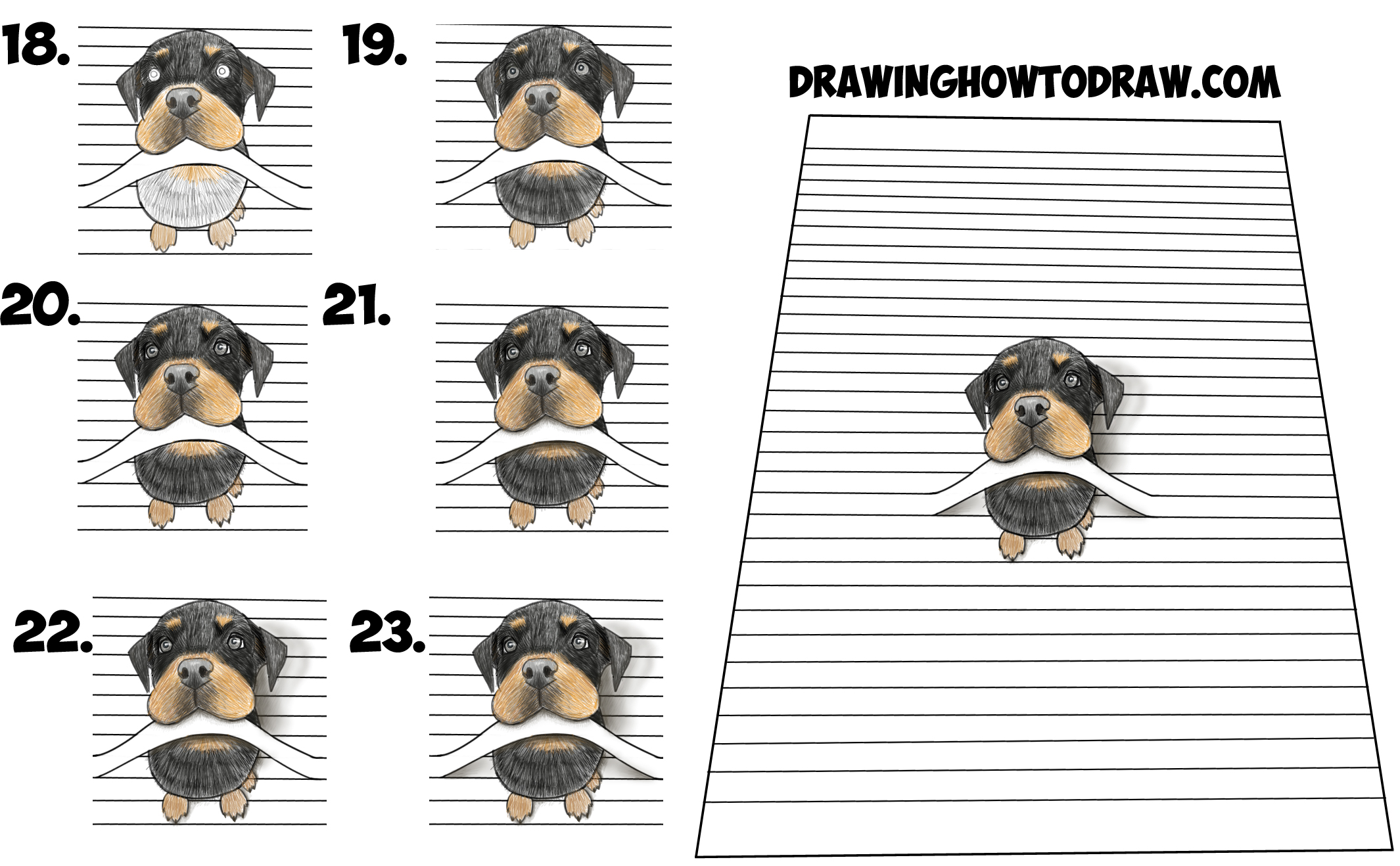 2130x1318 How To Draw A Cool Rottweiler Puppy Dog Biting A Line - Notebook Paper Drawings