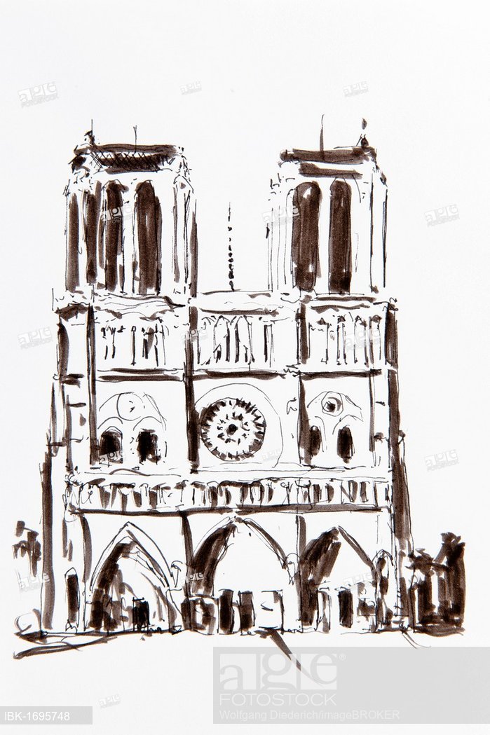 699x1049 notre dame cathedral, paris, france, drawing - Notre Dame Cathedral Drawing