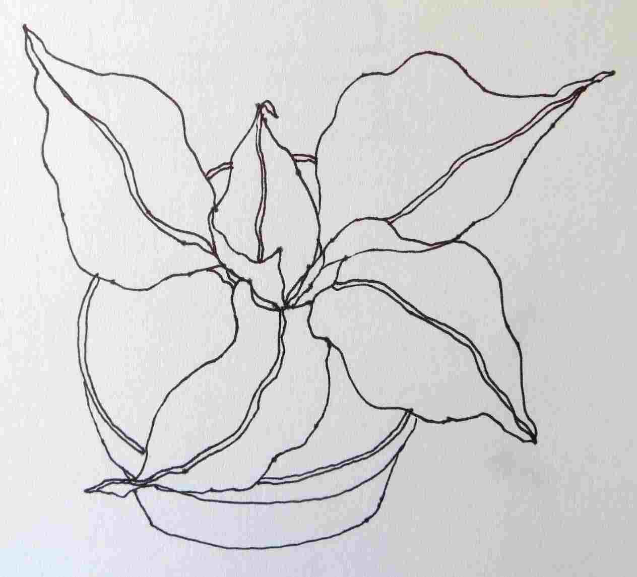 1264x1145 arts grouprhnovaartsgroupwordpresscom plant pencil drawings - Nova Drawing