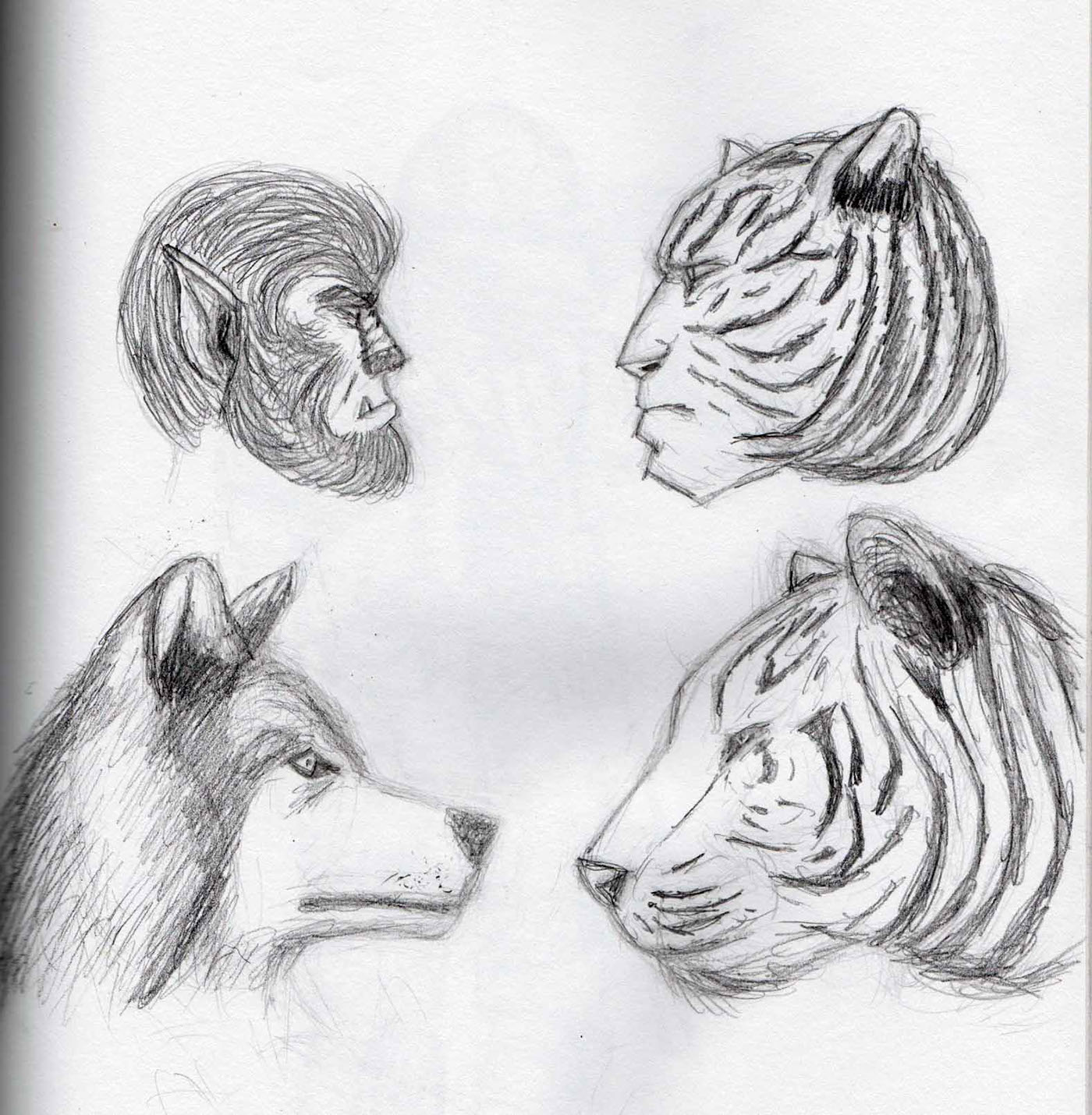 1400x1430 drawings from november and december on behance - November Drawings