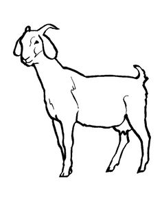 236x288 goat clip art - Nubian Goat Drawing