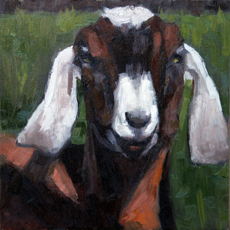 800x800 nubian goat roger goode fine art - Nubian Goat Drawing