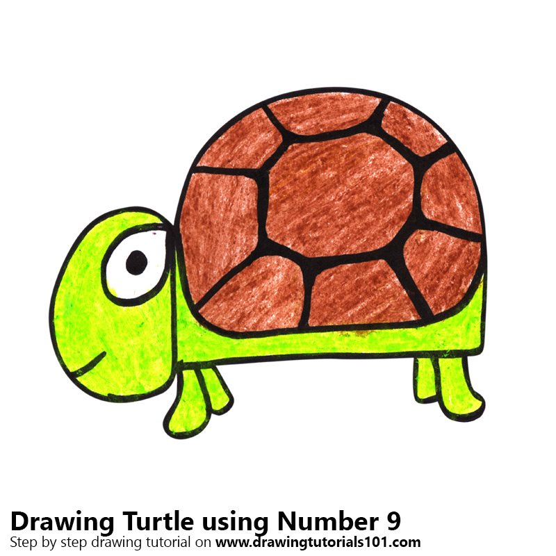 800x800 Learn How To Draw A Turtle Using Number - Number 9 Drawing