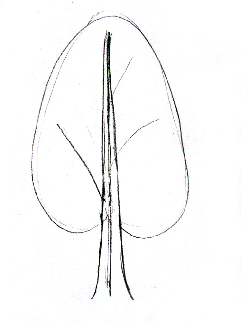 495x660 How To Draw A Tree - Number One Drawing