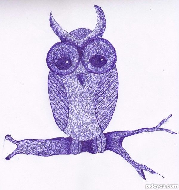 600x636 zero owl picture - Numerical Drawing