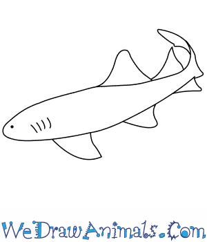 300x350 how to draw a nurse shark - Nurse Drawing