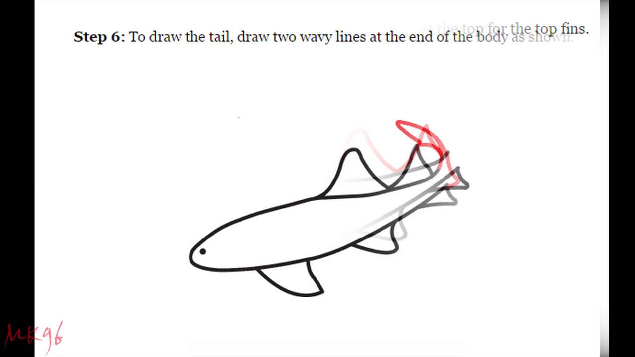 1280x720 How To Draw A Nurse Shark - Nurse Shark Drawing