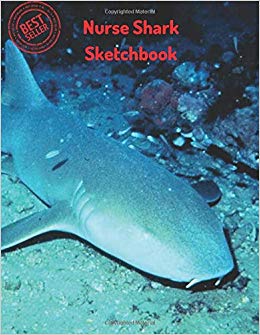 260x335 nurse shark sketchbook blank paper for drawing, doodling - Nurse Shark Drawing