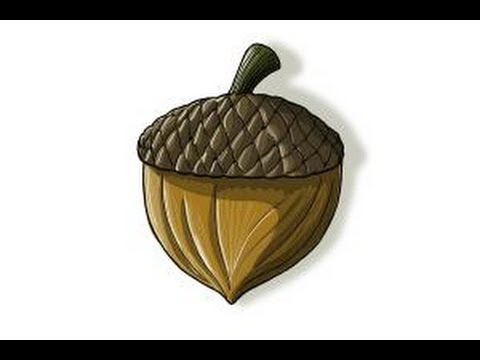 480x360 How To Draw A Nut - Nut Drawing
