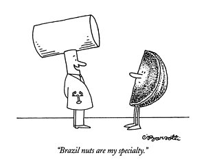 300x242 Nutcracker Drawings Fine Art America - Nutcracker Drawing