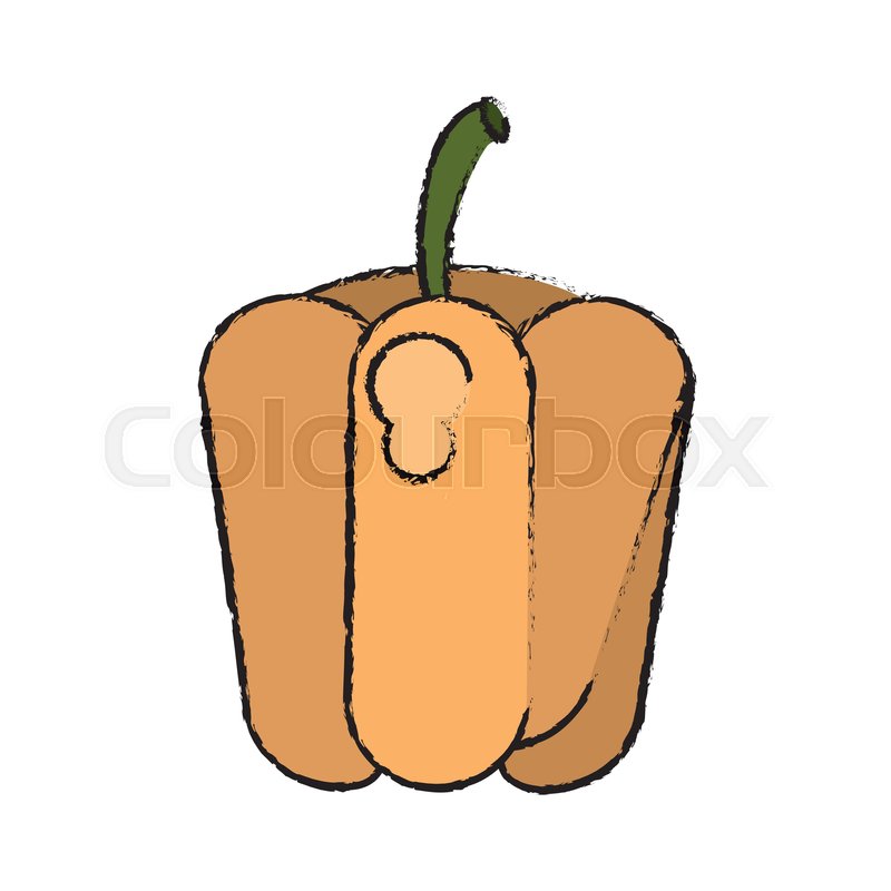 800x800 drawing pepper vegetable diet stock vector colourbox - Nutrition Drawing